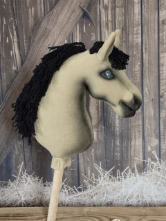Pony - Český sportovní pony (3)