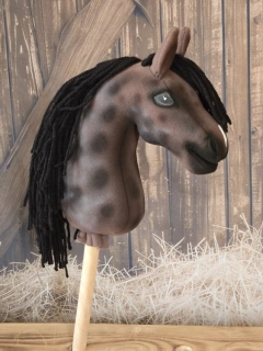 Pony - Fellský pony (3)