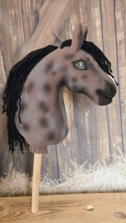 Pony - Fellský pony (3)