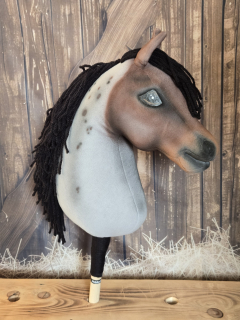 Hobby Horse - Český teplokrevník (7)