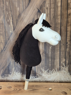 Pony - Shetland pony (11)
