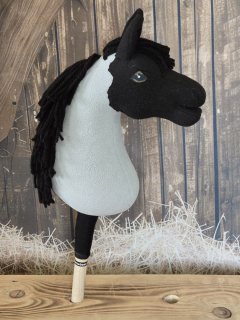 Pony - Shetland pony (12)