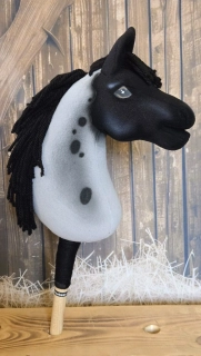 Pony - Fellský pony (5)