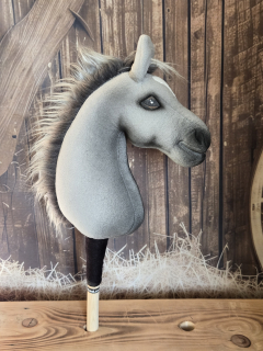 Pony - Český sportovní pony (4)