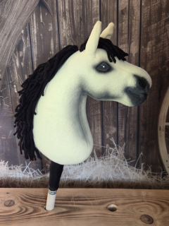 Pony - Český sportovní pony (5)