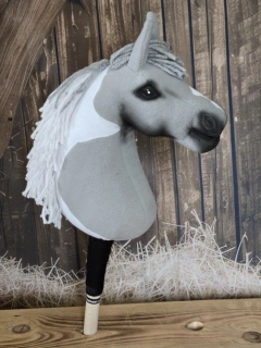Pony - Shetland pony (13)