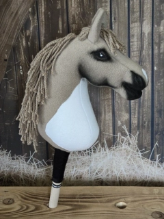 Pony - Shetland pony (14)