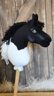 Pony - Shetland pony (15)