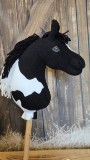 Pony - Shetland pony (17)